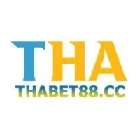 thabet chính thức